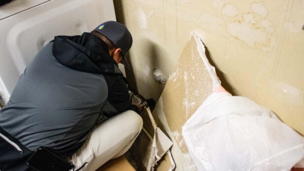 mold allergies mold allergies