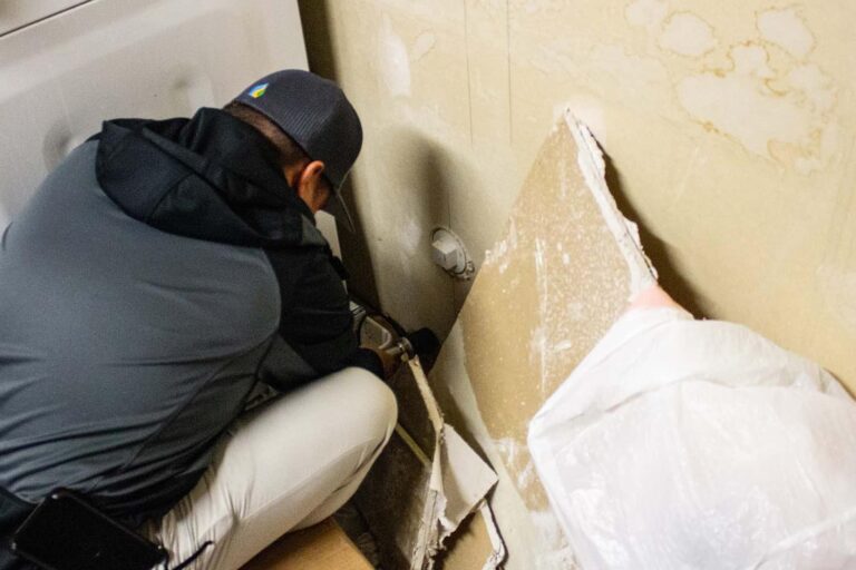 mold allergies mold allergies