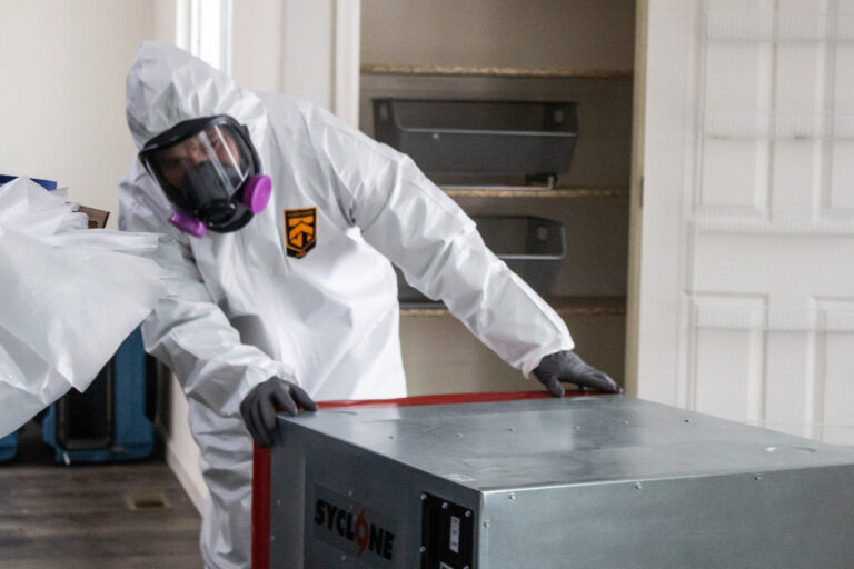 mold abatement and remediation