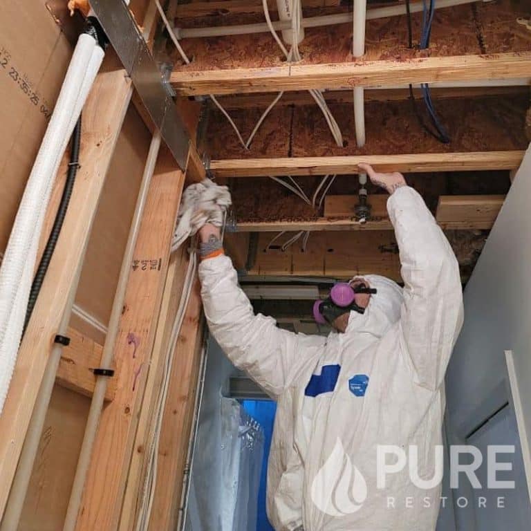 disaster recovery services