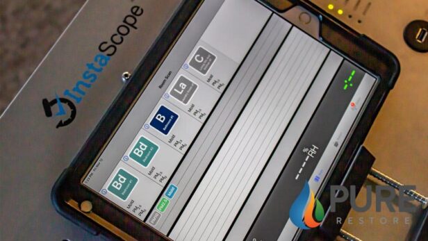 mold inspection services