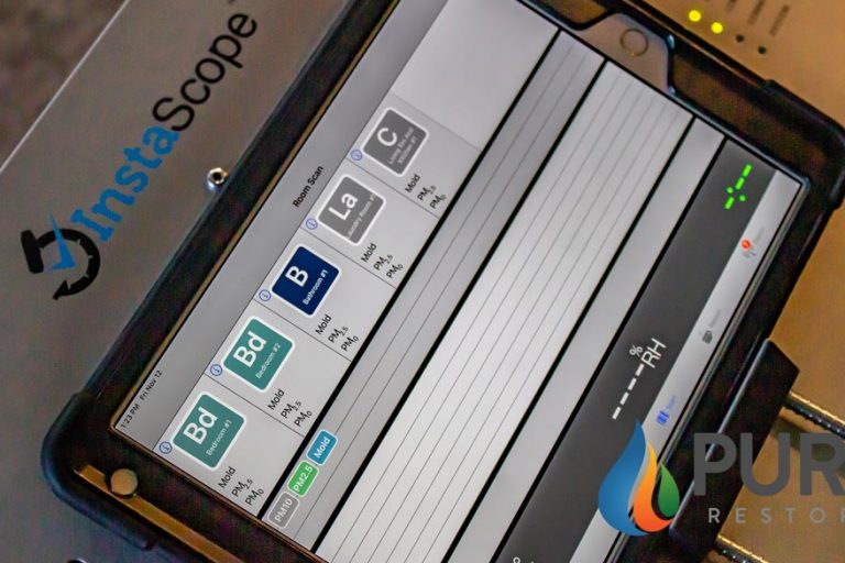 mold inspection services mold inspection services