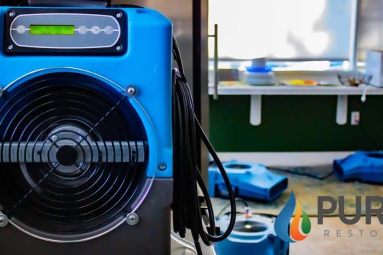 Water and Flood Restoration Services in Denver