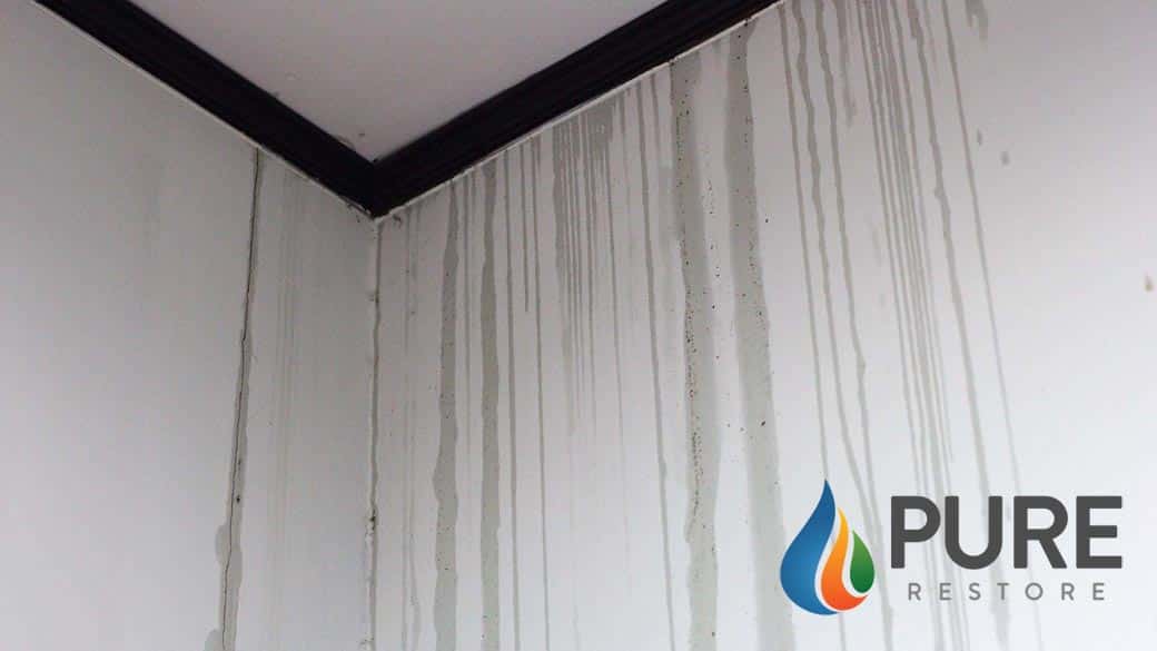 water damage to wall