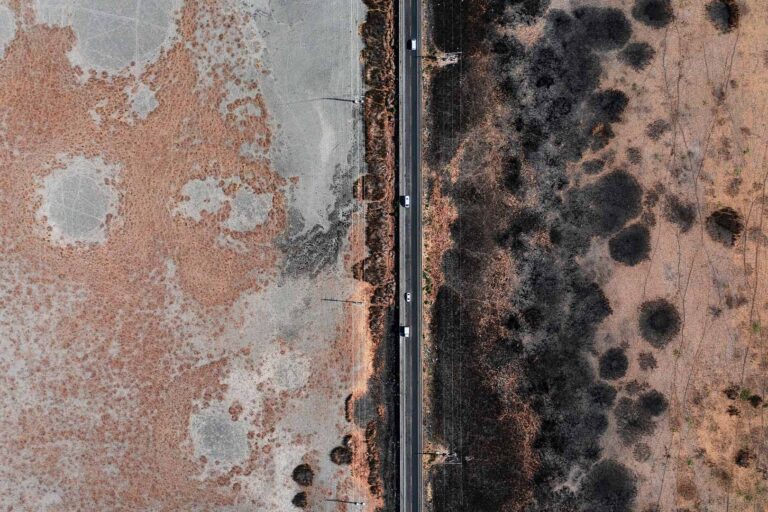 residential mold damage restoration