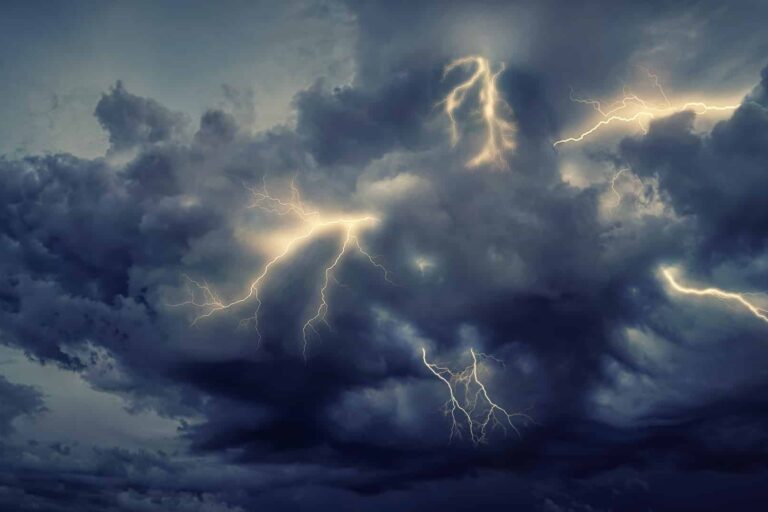 wind and storm damage