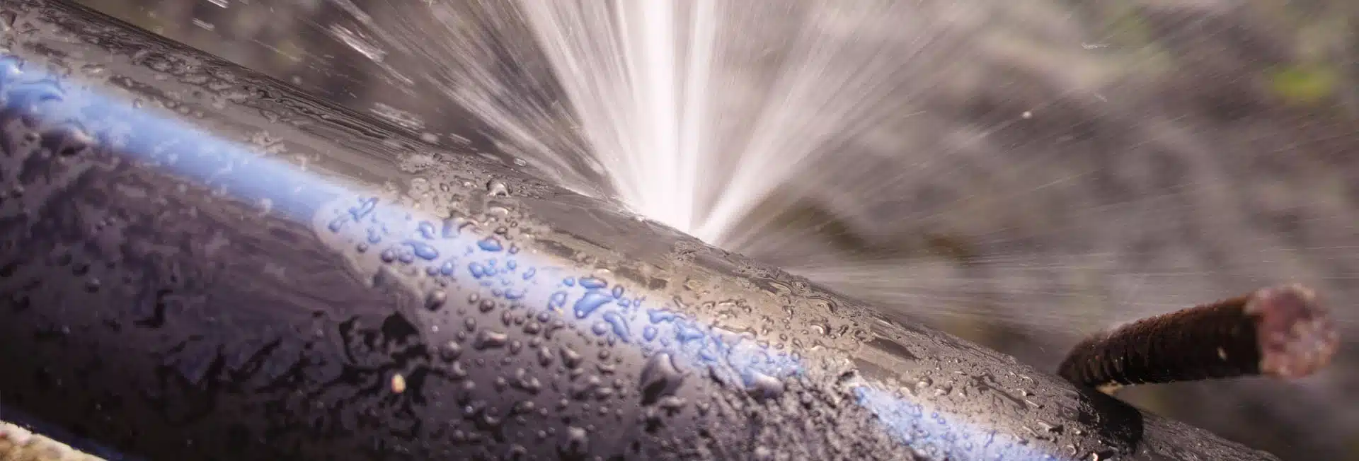 insurance-hero insurance