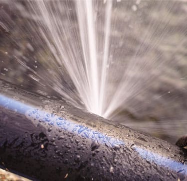 mobile-hero Accepting All Major Insurance Carriers